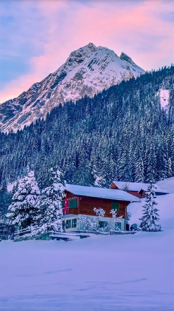 随笔～吟雪 飒风一夜扫天涯,银装飘逸吻树桠.