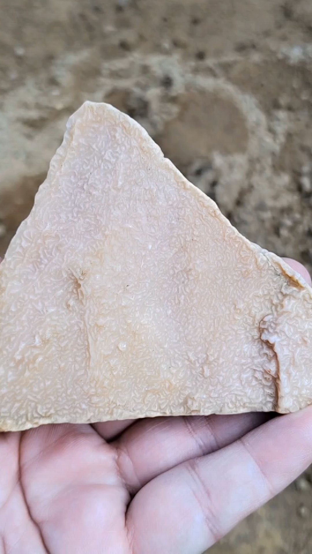 新疆戈壁滩地表粉彩皱纹泥石原石-度小视