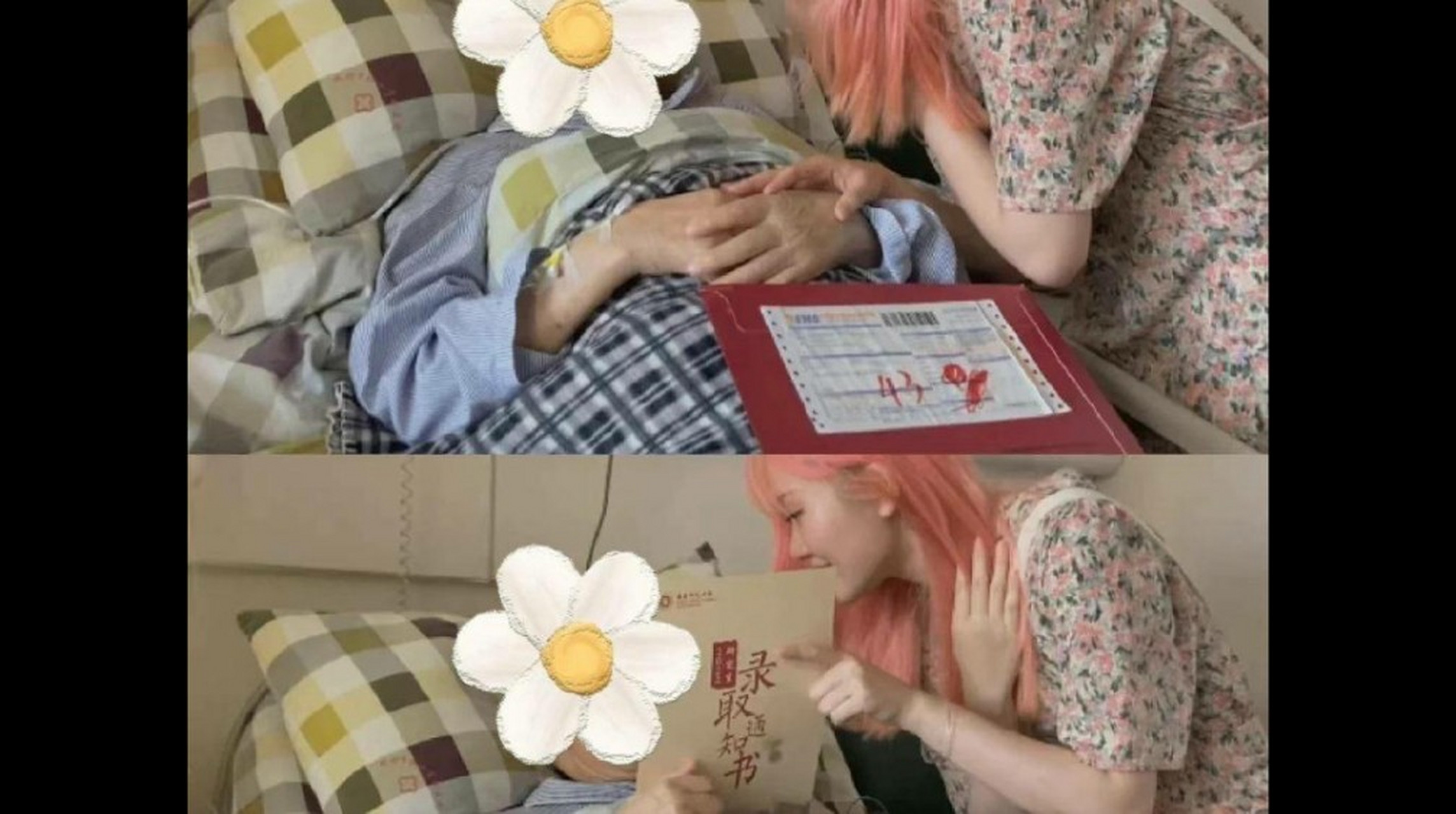 粉色头发女孩郑灵华,因为发了一个去看望爷爷的照片,里面她染着粉色