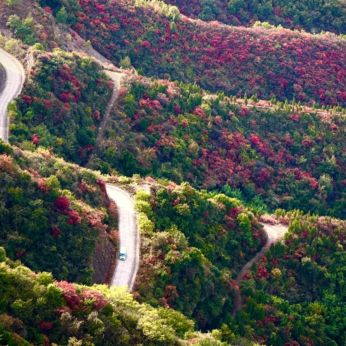 河南洛阳还有一处这样的神仙宝地·荆紫仙山