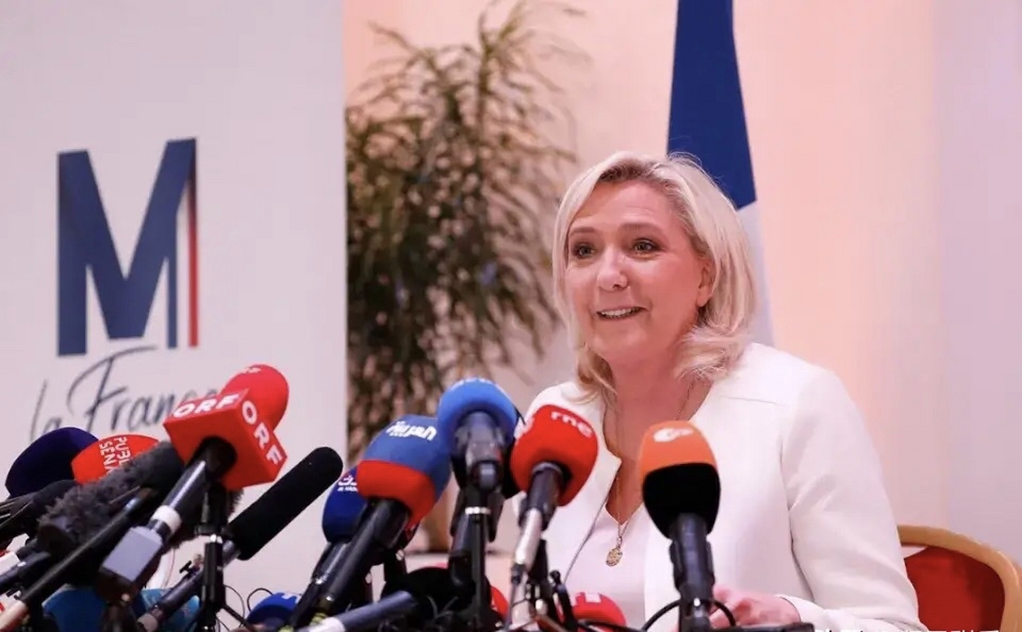 马克龙的竞选对手,法国议会"国民联盟"领袖玛丽娜61勒庞对《世界报