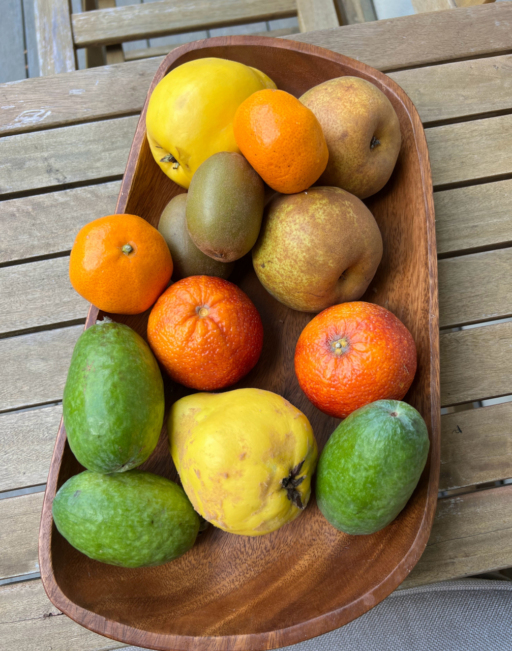 很多人没有吃过真正好吃的斐济果(菲油果),我在国内收到很多种植爱好