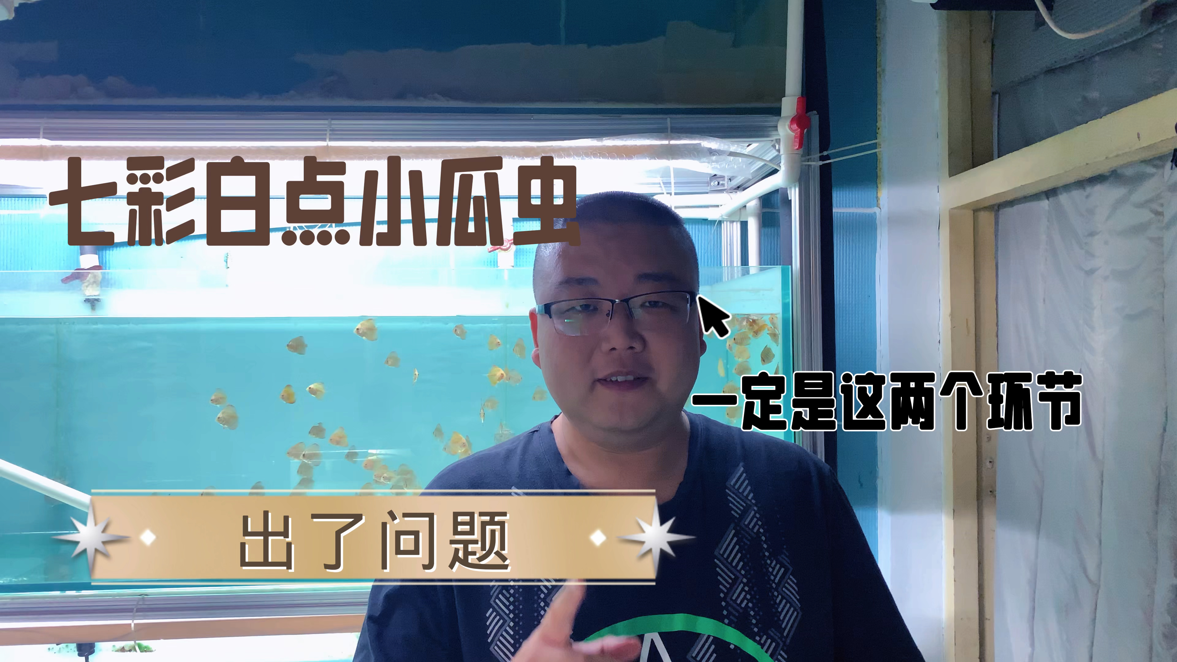 七彩神仙鱼得了白点病小瓜虫,一定是这两个环节没考虑到出的问题