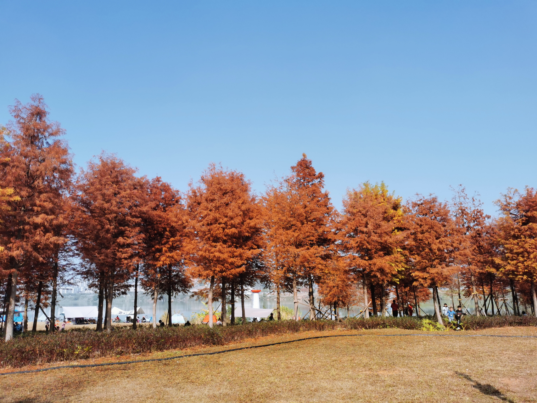 灵龟山生态公园