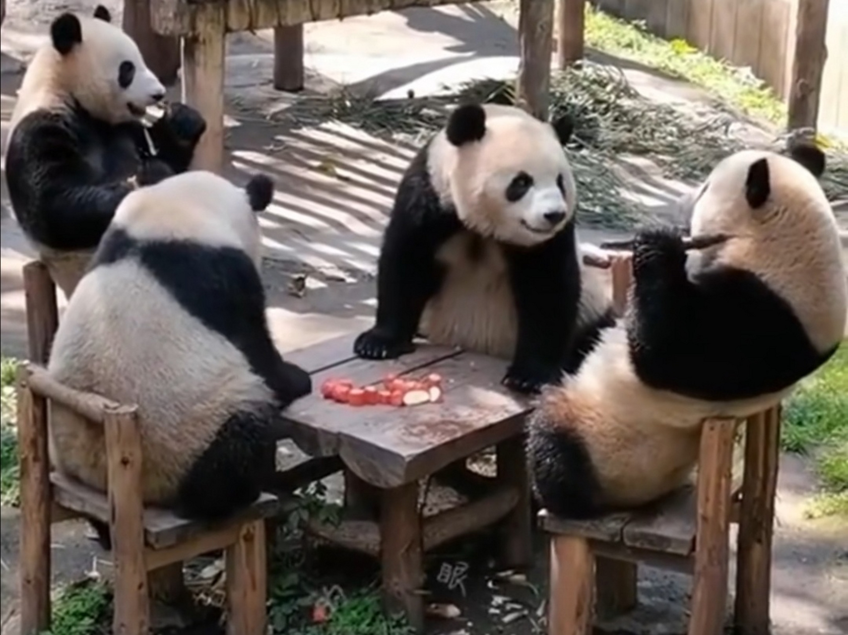 熊猫麻将 换三张图片