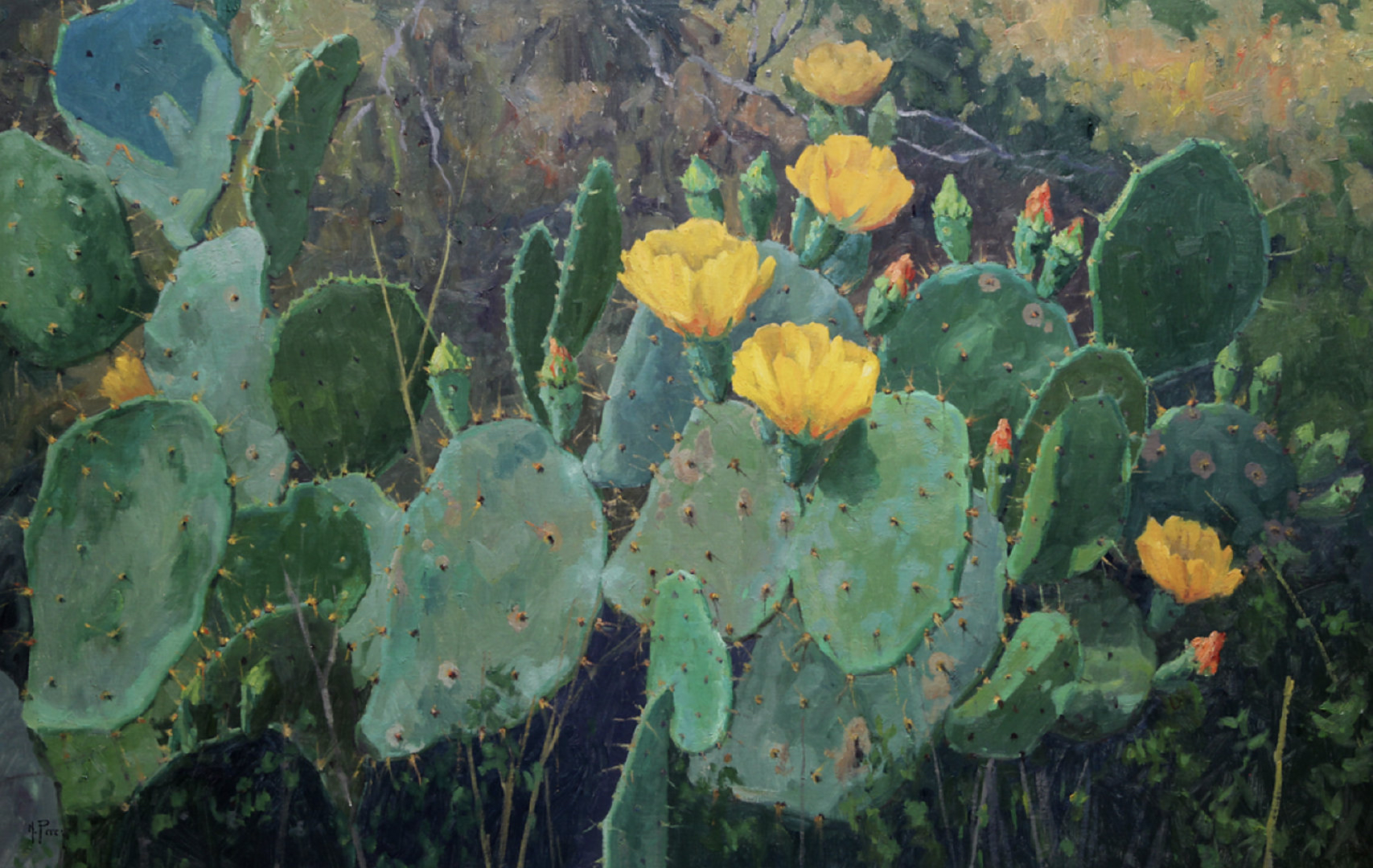 noe perez 画的仙人掌