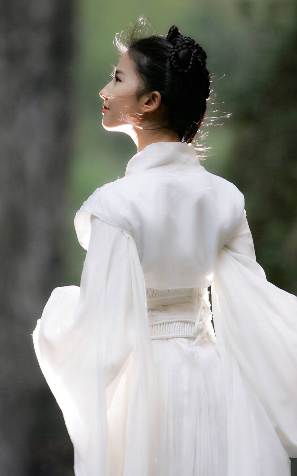 《汴京梦华图》影视化,刘亦菲和陈晓也许是很惊艳的搭档,期待