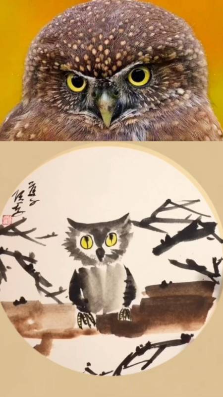 写意国画猫头鹰画法,儿童国画课件教学视频 #国画课件#国画教学视频