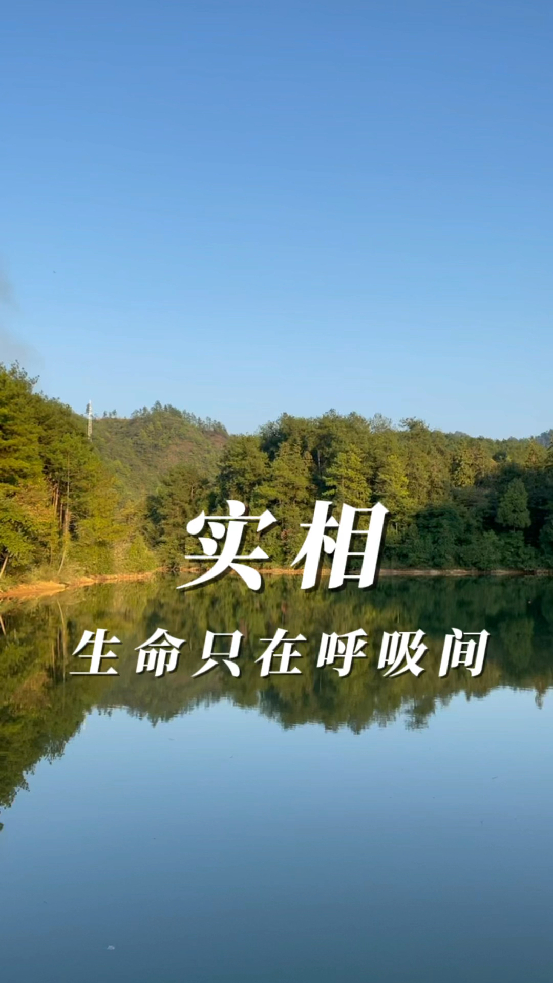 生命的实相 贵州阡纤美人酒飞天美人茶品牌分享 石阡