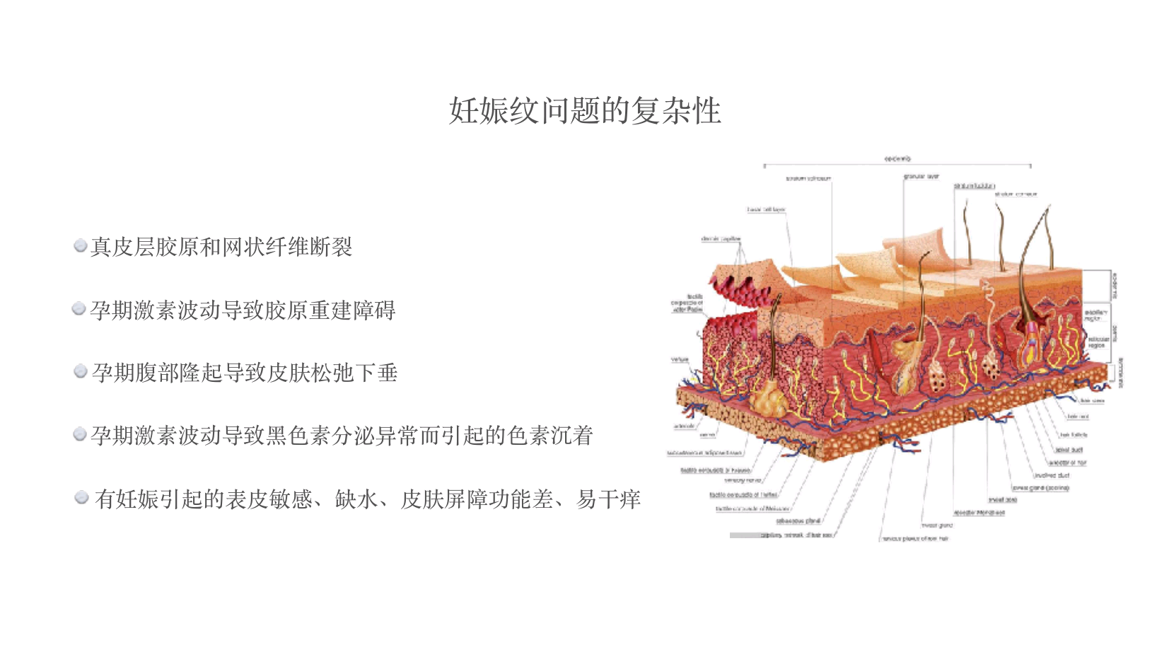 安美科妊娠纹adt治疗技术介绍