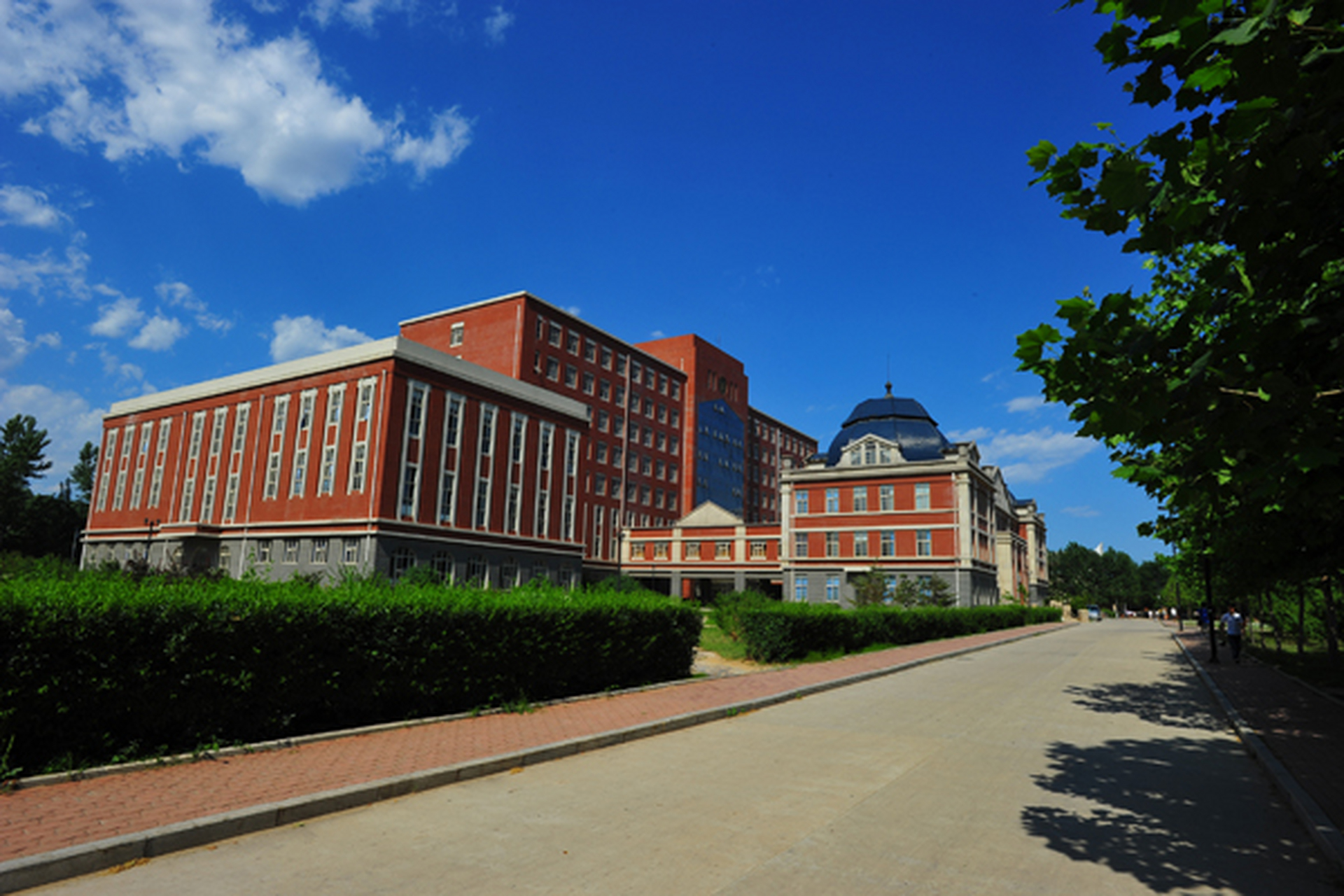 东北大学秦皇岛分校2023年本科招生实施办法中,计算机科学与技术,通信