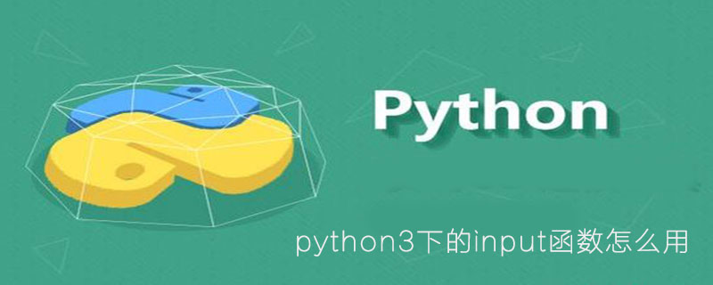 如何使用 pip 安装 python 库