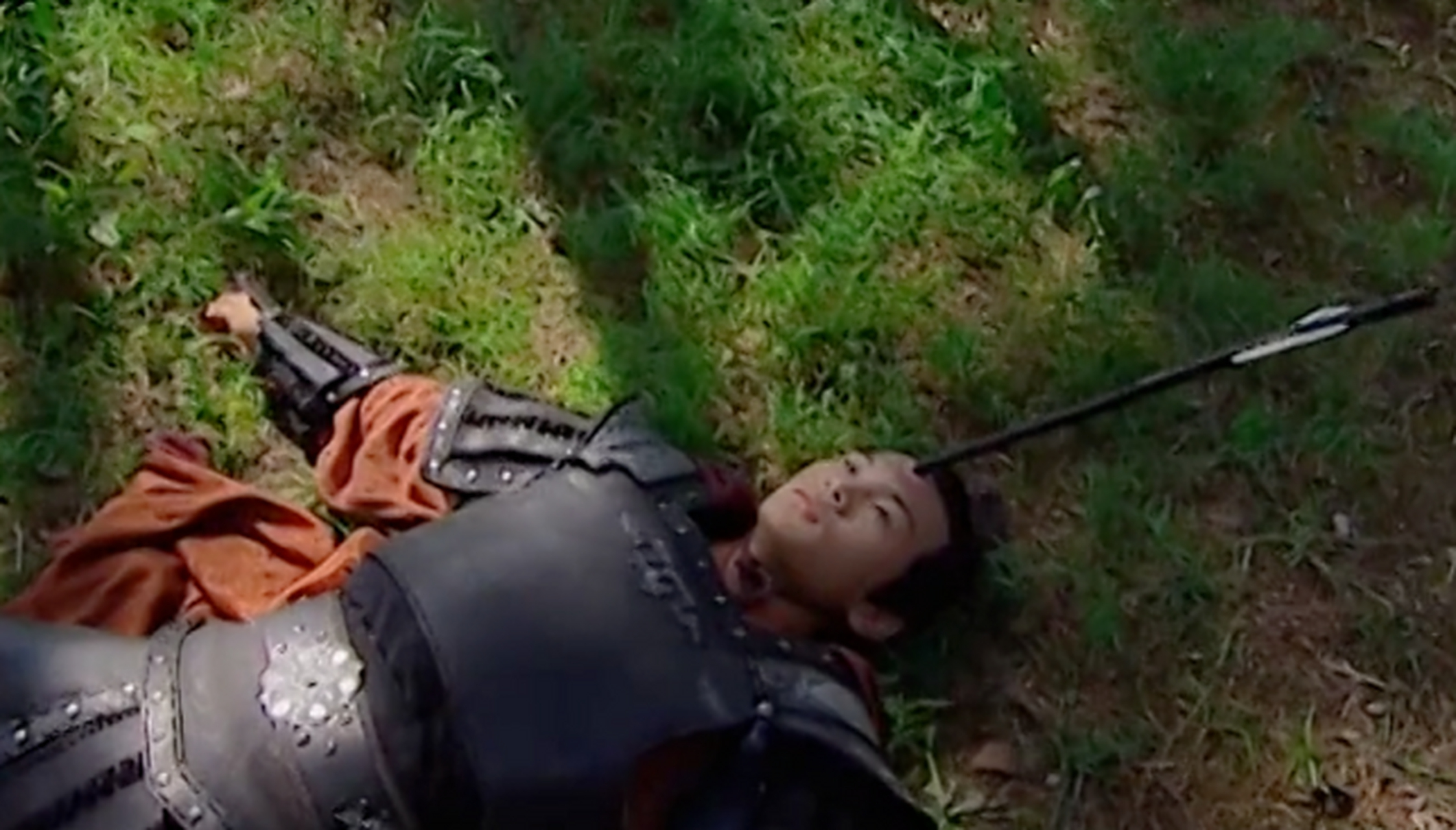 一日,汉武帝带霍去病和李广的儿子李敢去打猎.