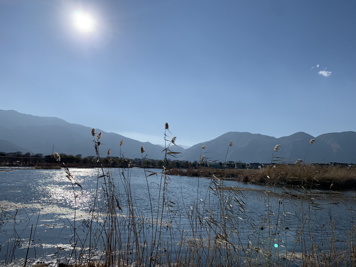 大理潘正伟先生冬日游洱源东湖