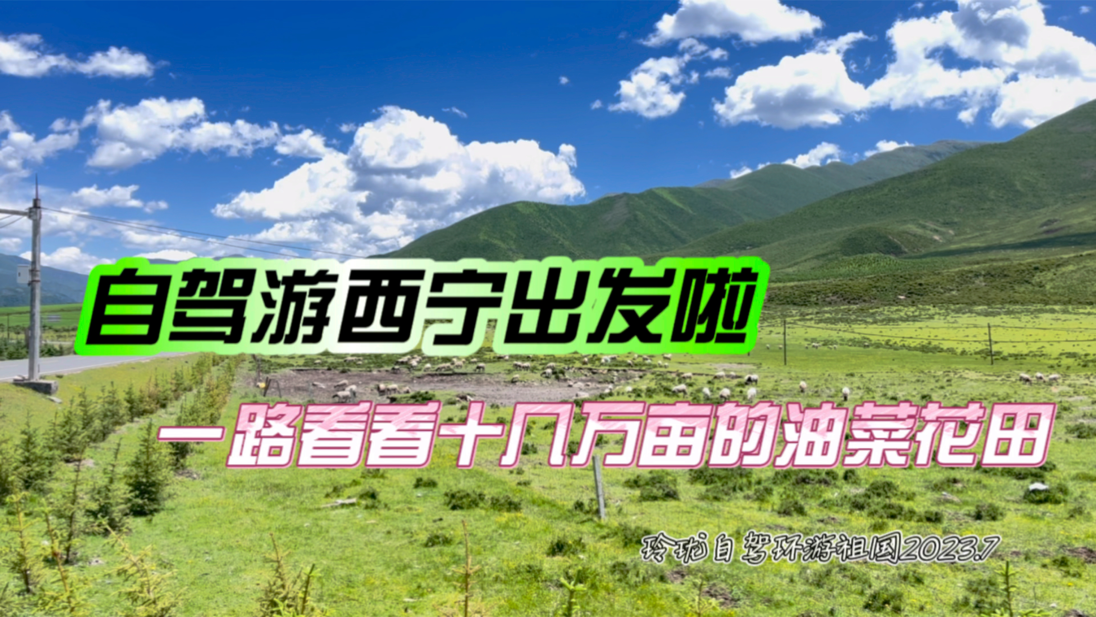 自驾游在西宁休整出发啦,一路看看十几万亩的油菜花田!