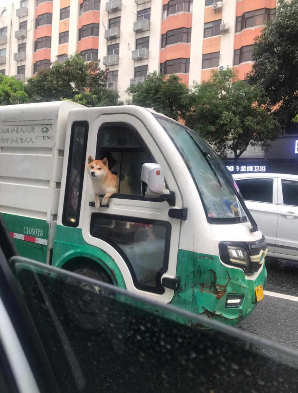 路过的时候忍不住啧啧啧[左捂脸]