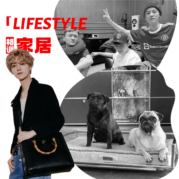 鹿晗北京8000w豪宅曝光!600㎡独栋别墅装修平亿近人