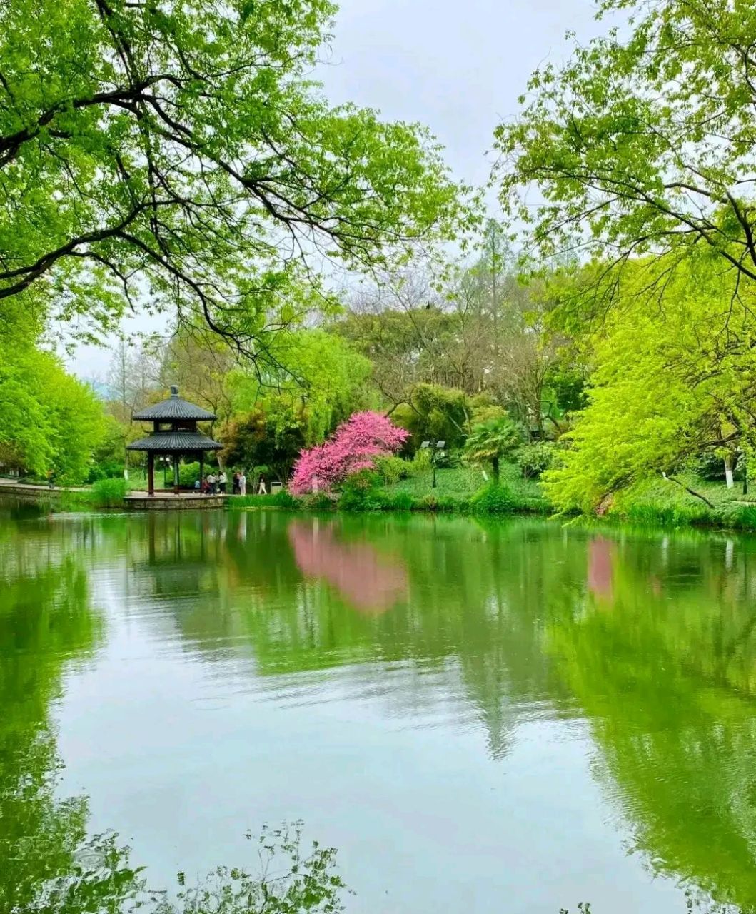 烟柳画桥,风帘翠幕 杭州的树和水特别绿 西湖美景真是太美了 如诗