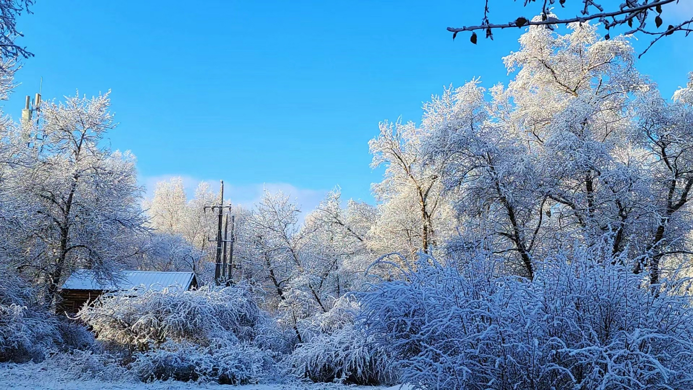 新疆冬天图片景色图片