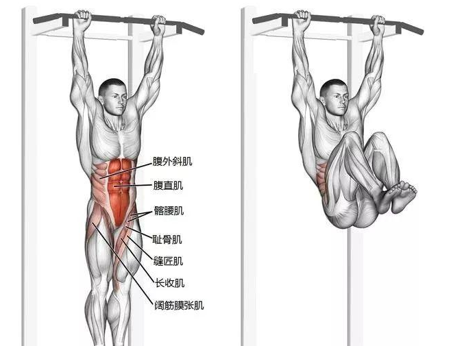 大年初一,為大家送上優質腹部訓練動作:懸垂舉腿!