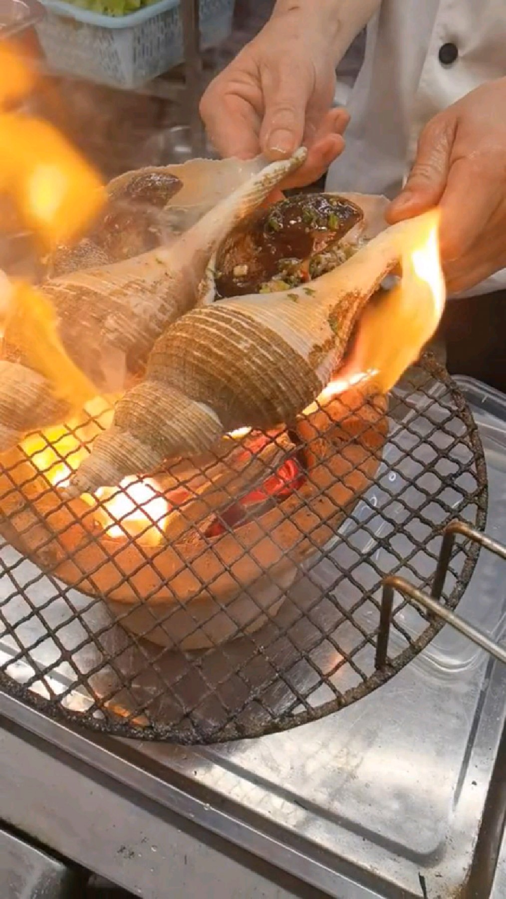 碳烤大响螺,味道嘎嘎鲜嘎嘎香!-度小视