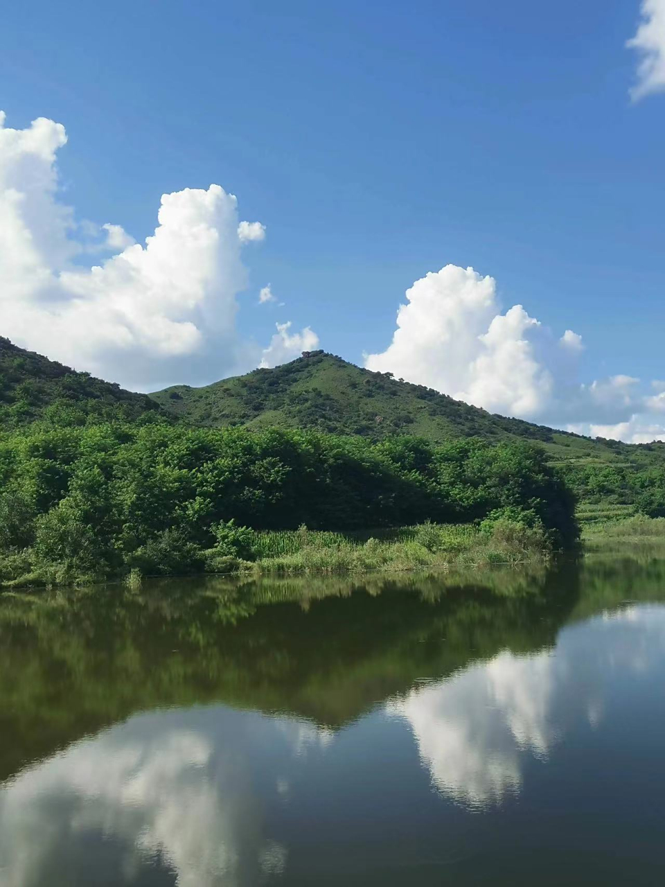 盛夏风景# 京郊山中避暑景观,如古人诗中所云:山际见来烟,竹中窥氯照