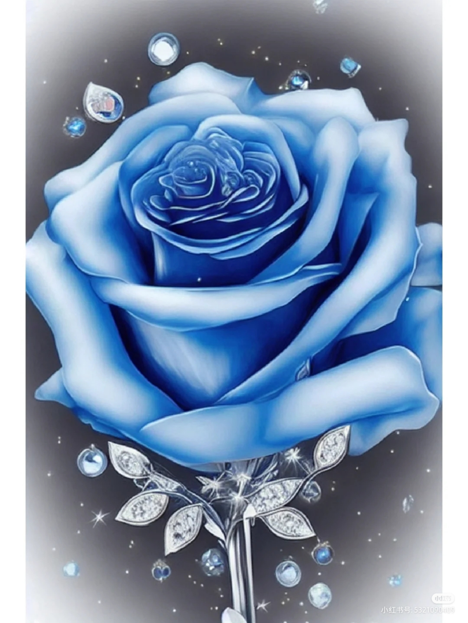 渐变蓝白玫瑰花的花语图片