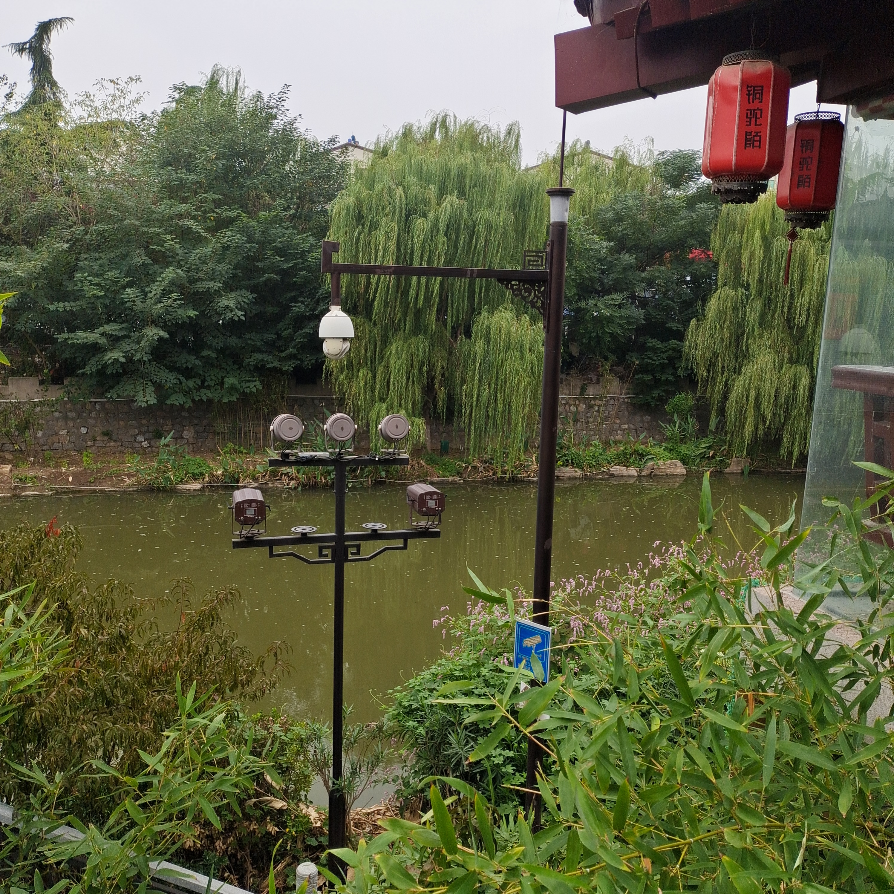 铜驼暮雨图片图片