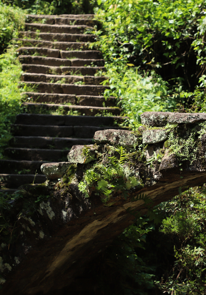三坑两涧之悟源涧