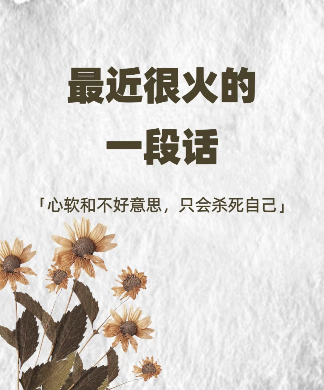 最近很火的一段话