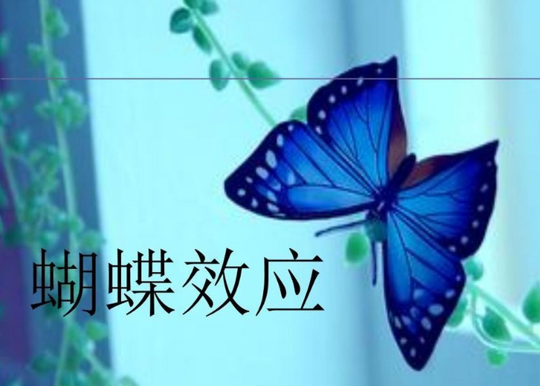 什么是蝴蝶效应  所谓蝴蝶效应,是指在南美洲亚马孙河流域热带雨林中