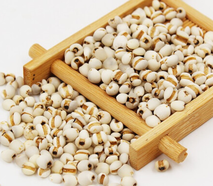 薏米与薏仁什么区别