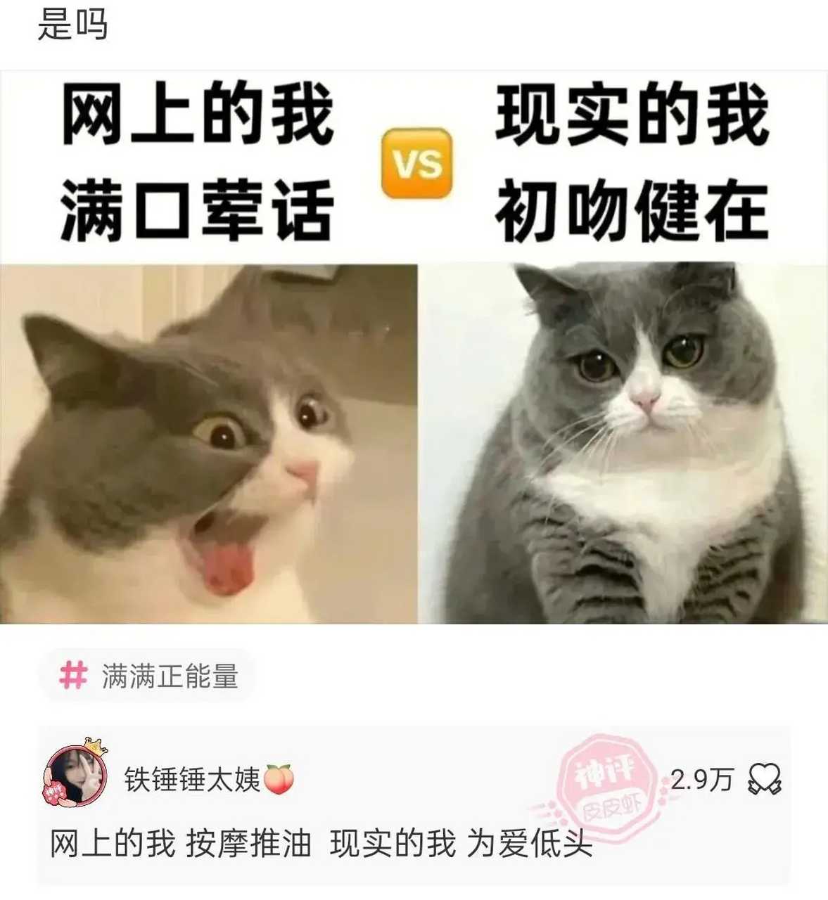 网上的我:满口荤话 现实的我:初吻健在[滑稽]