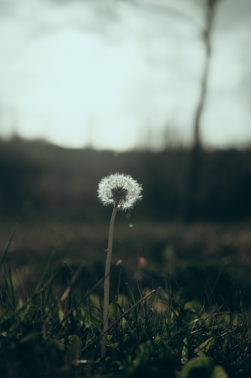 越是危殆之时, 越是行动之机. 《吉姆 •罗杰斯谈危机时代》(美)吉