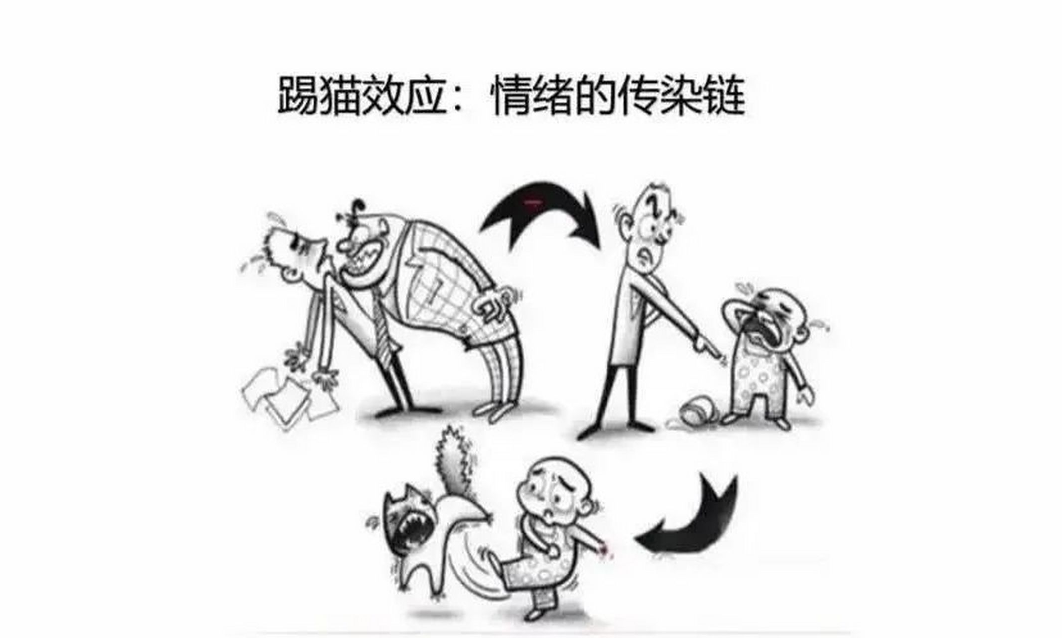 踢猫效应的故事，踢猫效应的故事及启示