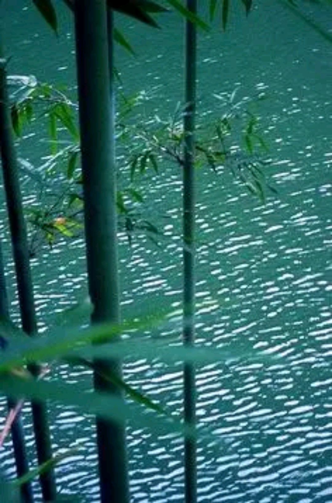 野渡征联38期:半山竹雨摇空翠,征对下联