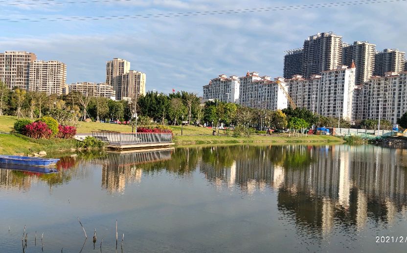 闹市中的静谧～广东汕头海湾湿地公园