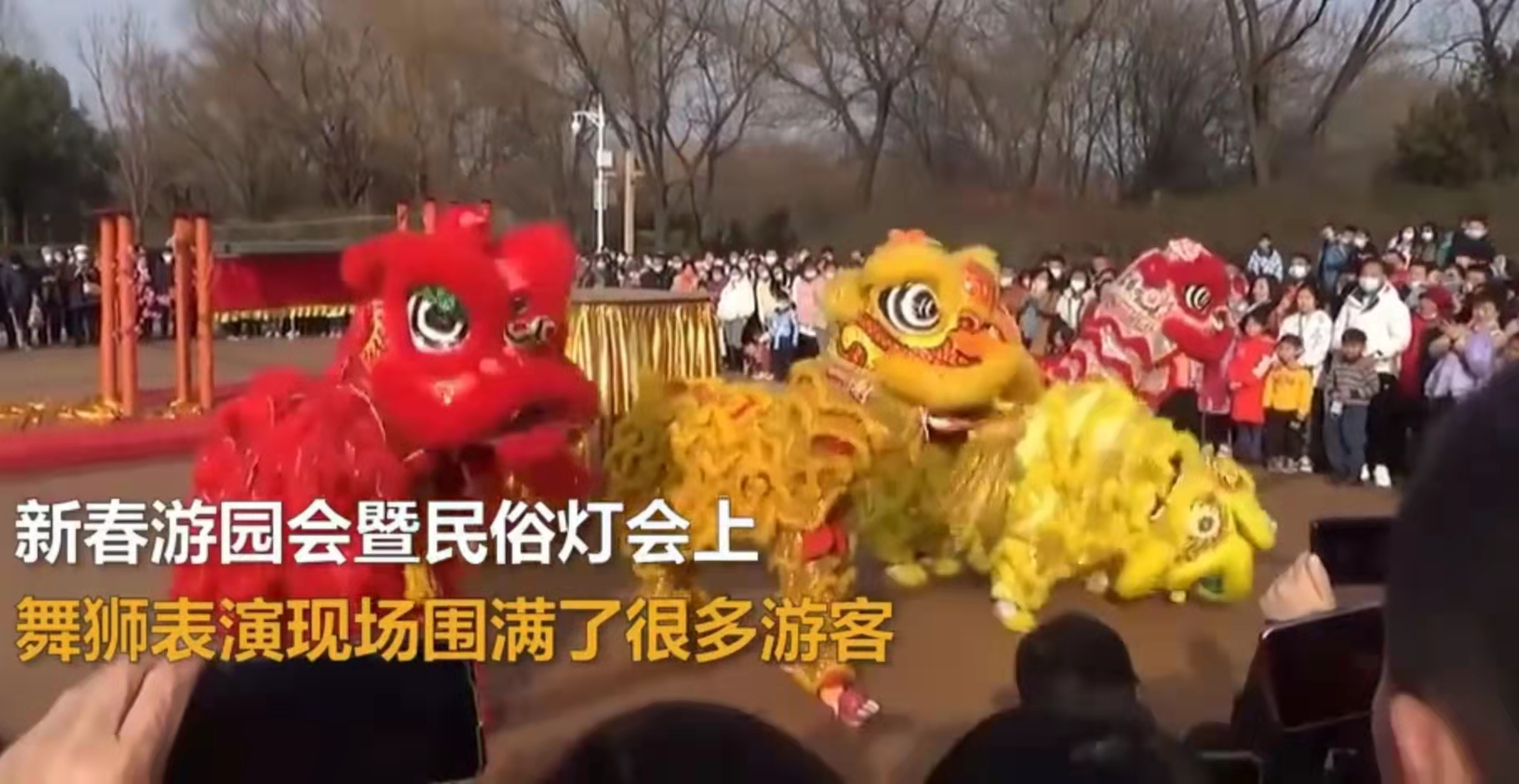 水上舞狮惊艳海外:让文化传承与学习,成为孩子新的乐趣