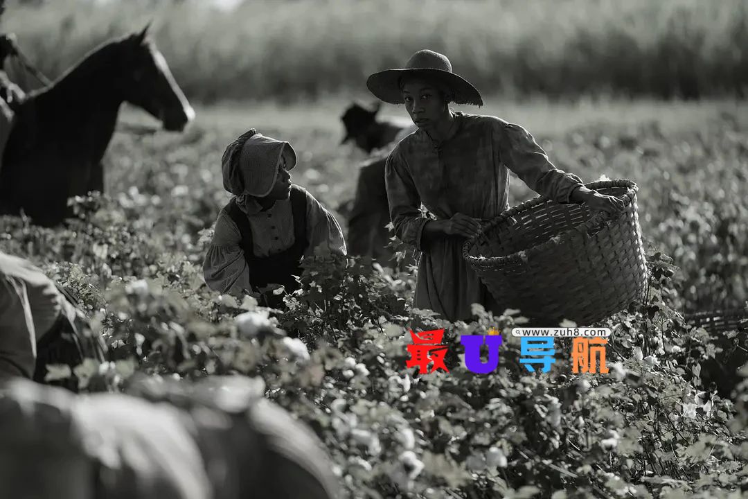 爆点满满,年终贺岁!12月新片大合集! (一月观影)爆点满满,年终贺岁!12月新片大合集!