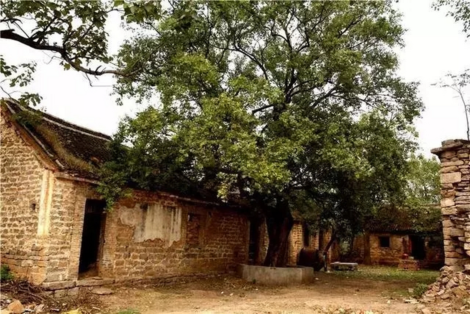 在河南省禹州市磨街乡政府所在地西北,有个名叫关庙的小山村,关庙村