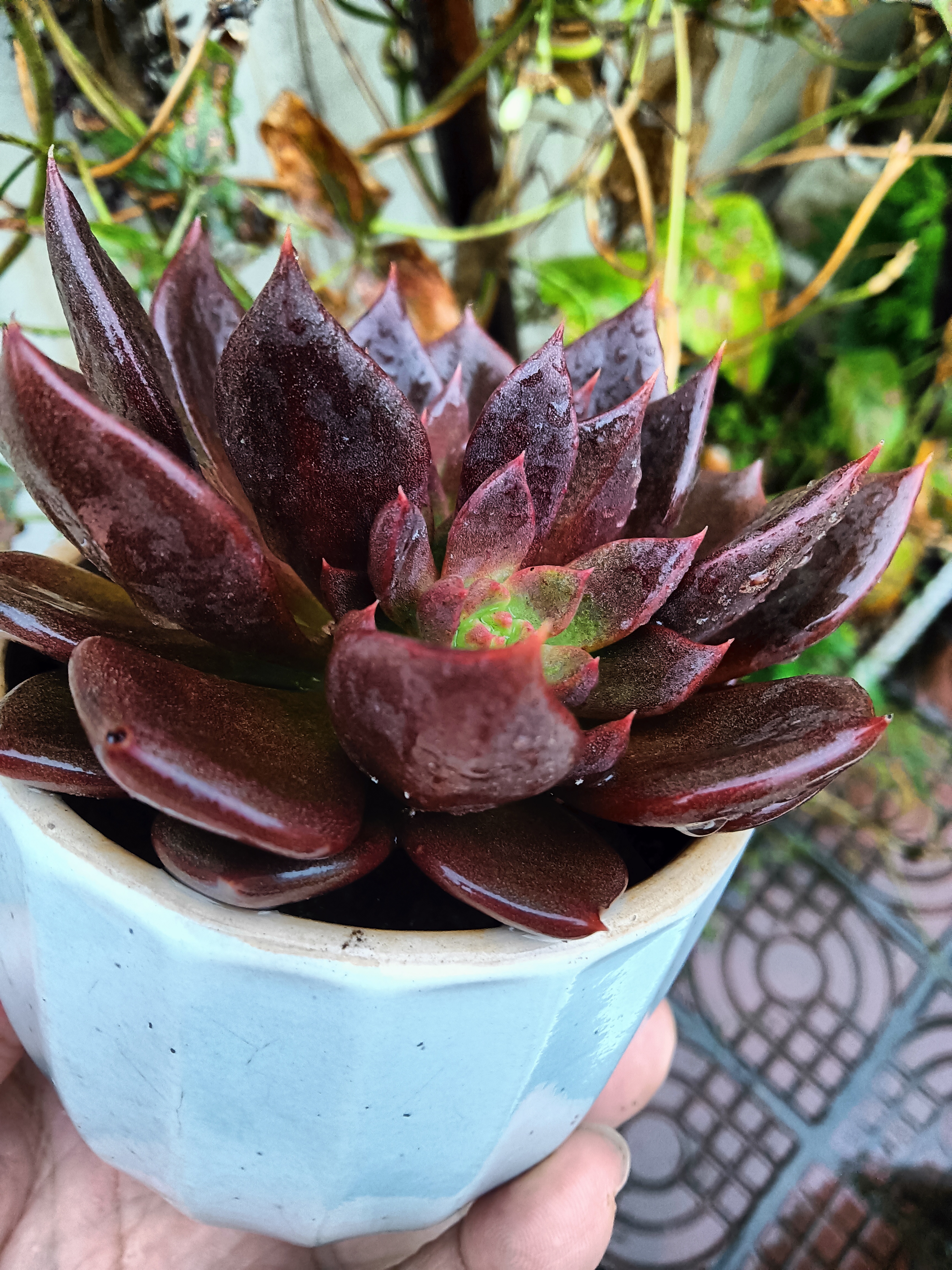 也许是我们多想或太贪了,每一种状态有每种状态的好