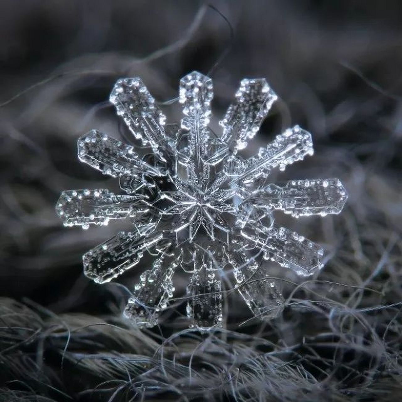 雪花放大100倍真实图片