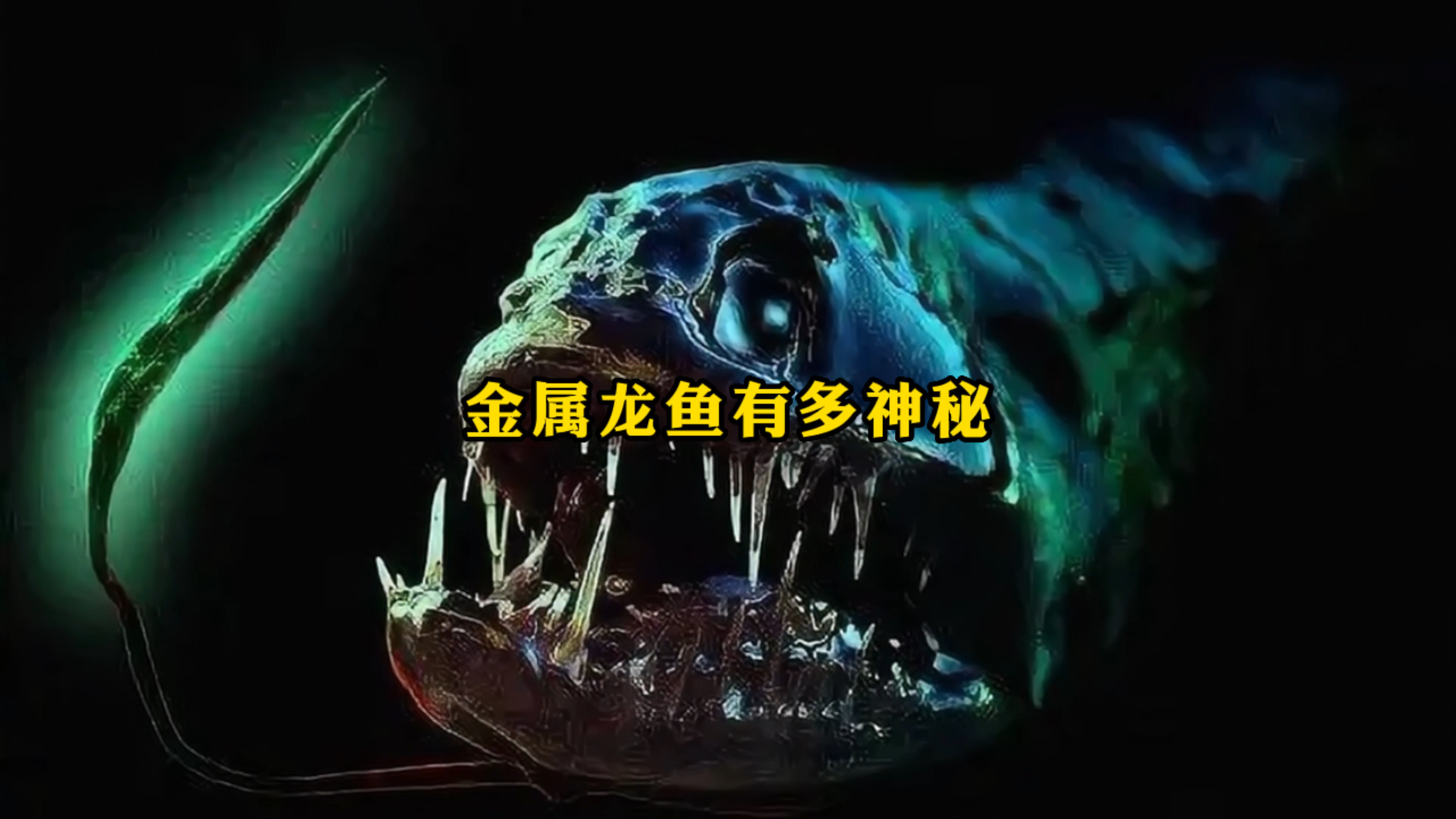 你见过金属龙鱼吗