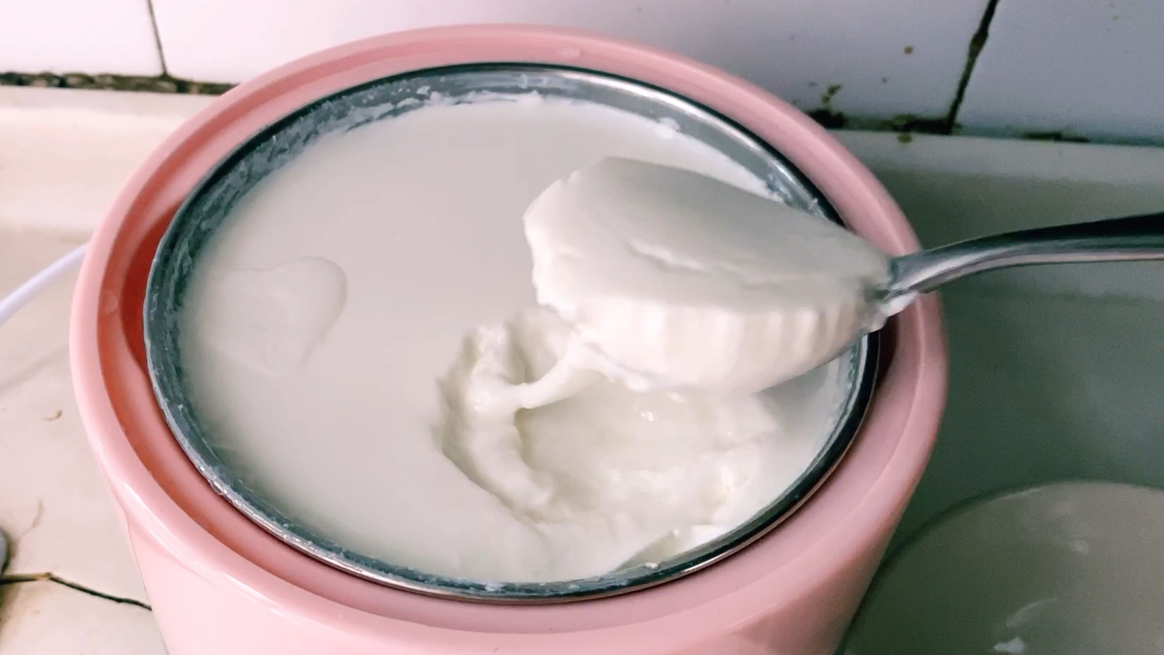 自制无糖酸奶,很酸很健康;心心念念的金钱南瓜饼让宅家更甜蜜