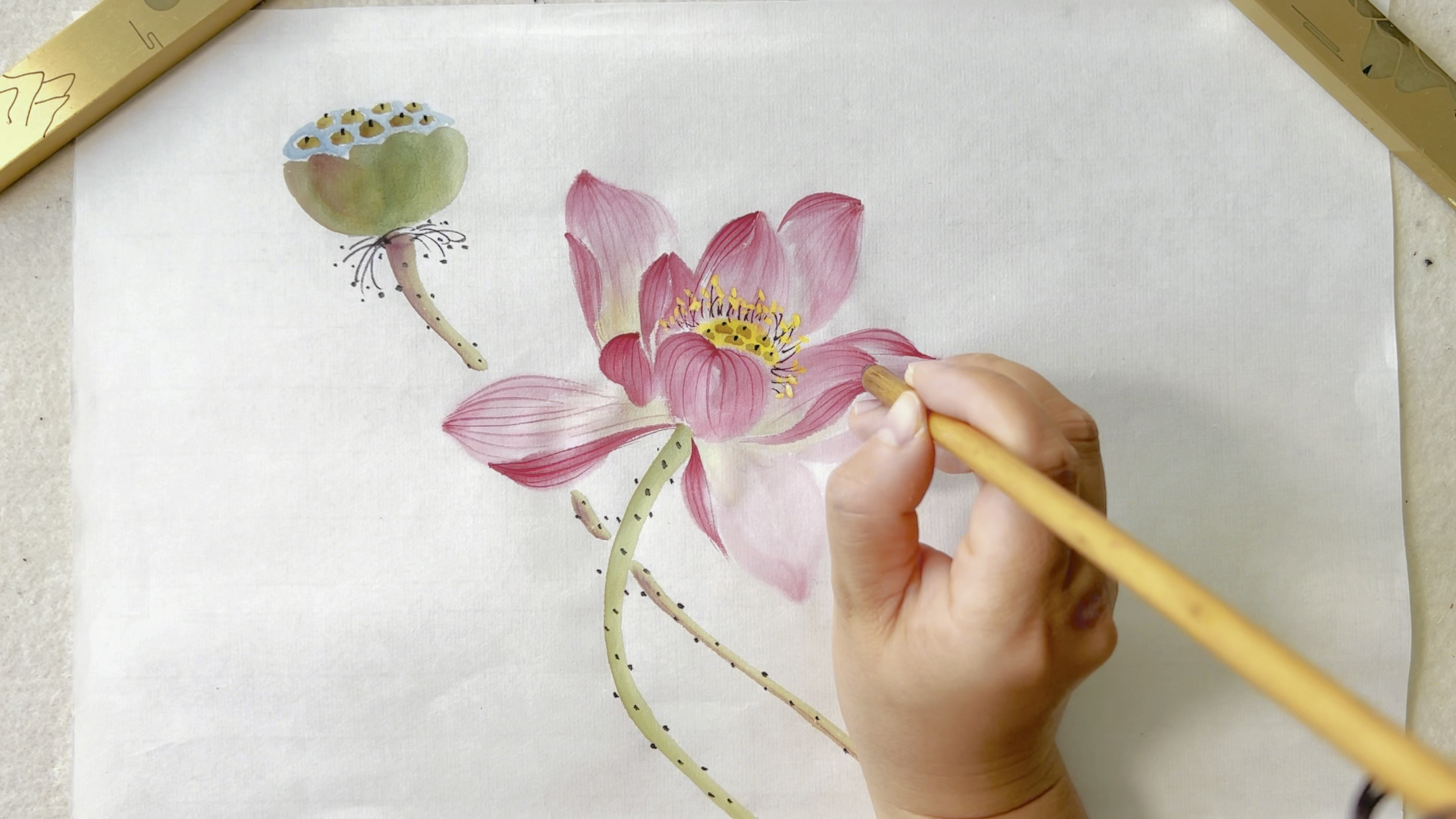 「国画教程」写意荷花的画法