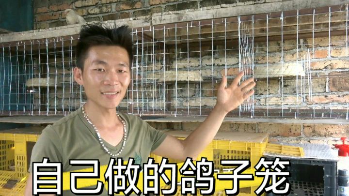 在农村养鸽子自己做鸽子笼,花了42块做好4个笼,这效果真是太棒了