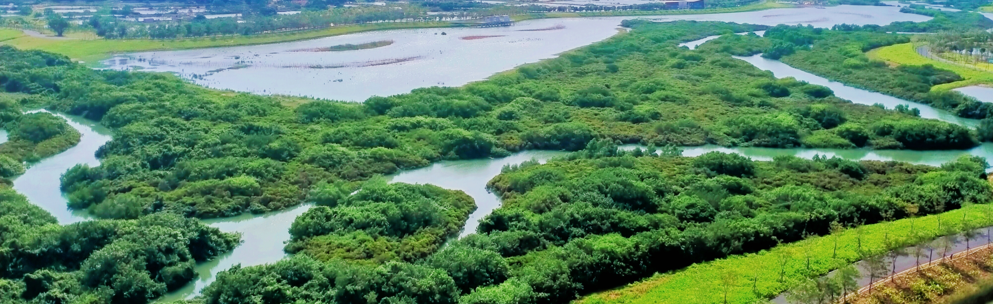 北海湿地公园冯家江图片