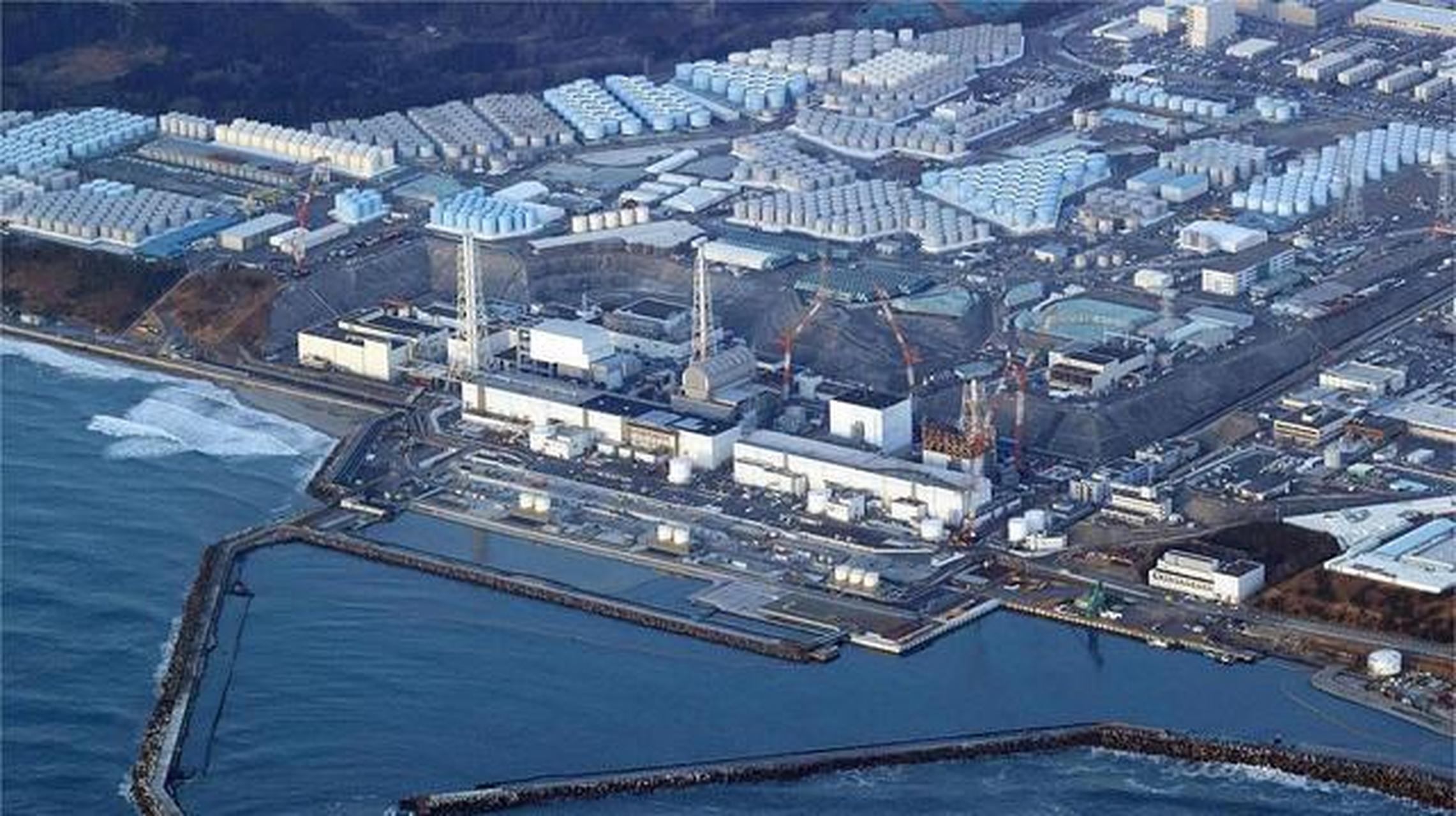 日本核污水还未正式排放,福岛核电站已现"辐射鱼"!