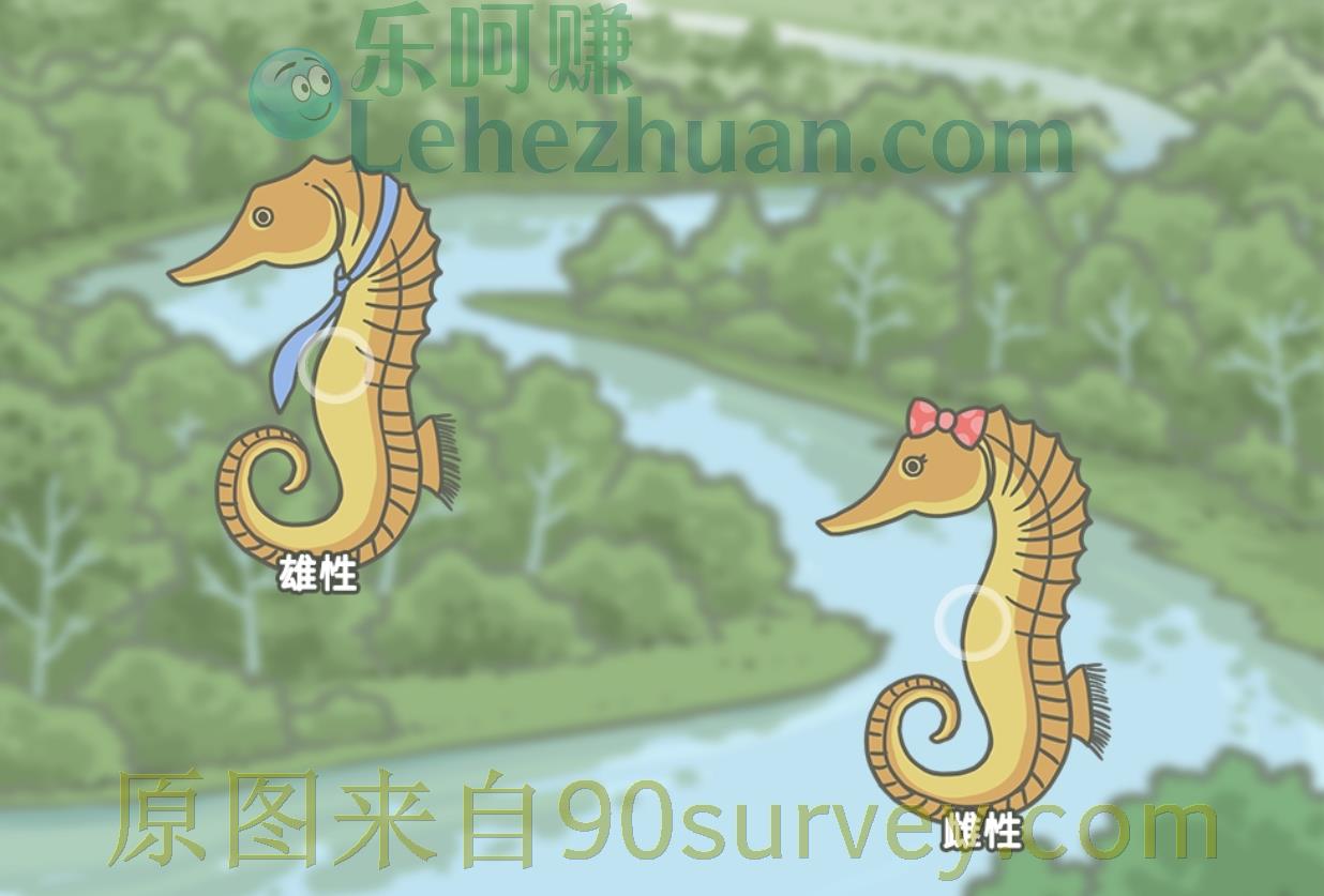 在海马家族中,谁负责孕育后代?答案:雄海马 在海马家族中,谁负责孕育后代?答案:雄海马