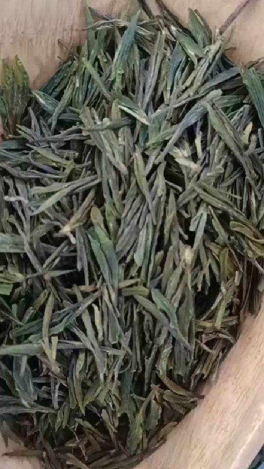 2021年的头胚大田崂山扁茶!冷藏到现在味道刚刚好!还有10斤!-度小视